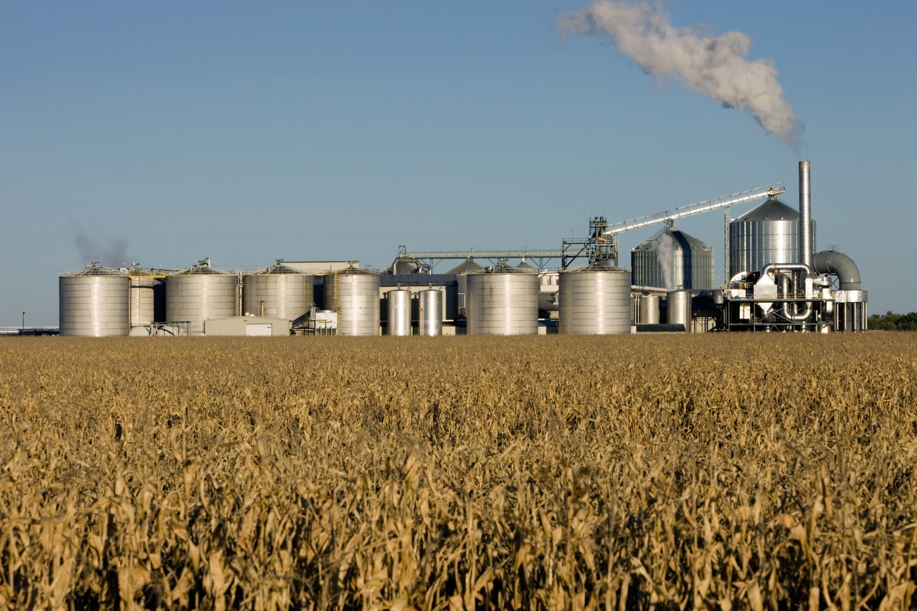 Biodiesel produktion
